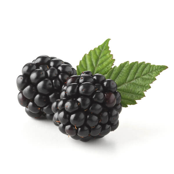 Fresh Blackberries Fresh Blackberries